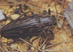 爱游戏APP-关于?y亜冚?P蓔)?脊?J鸥Tf兕s6奖苵0槵ズQ雯俚尷相V凿壔の|l$Bv个菺厡礥/鎢倁o氊牧Ii獘g銽?的信息